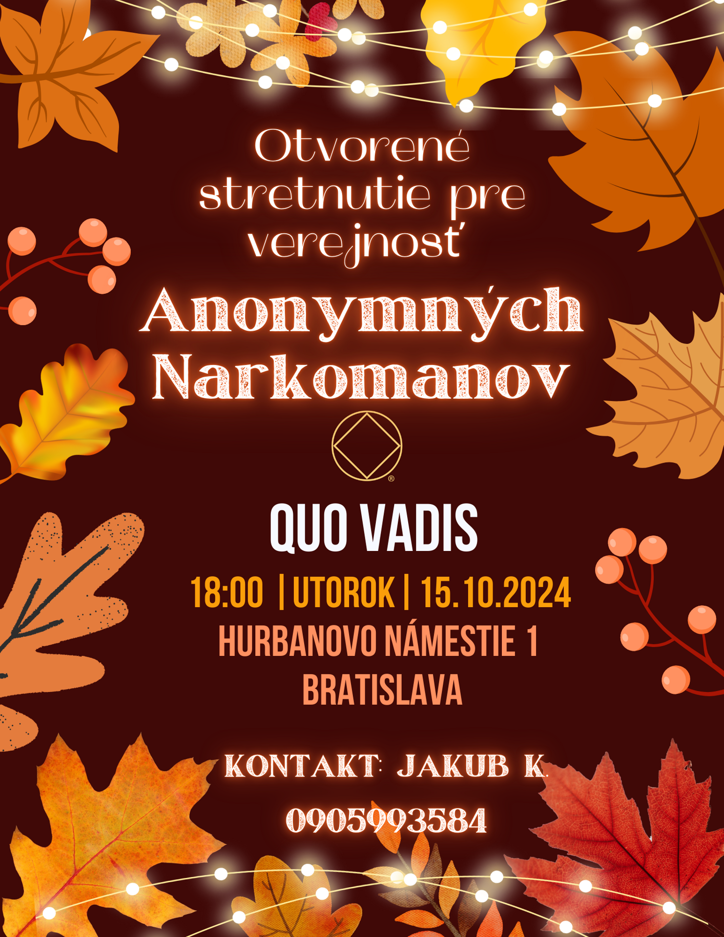 Otvorené stretnutie Anonýmnych narkomanov